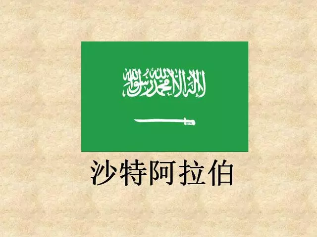 沙特阿拉伯-需要联系客服获取验证码